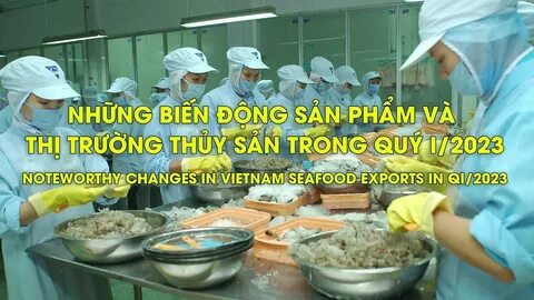 Khám phá hệ sinh thái dịch vụ video ngắn của Hotspot Matrix_dịch vụ chỉnh sửa video cho doanh nghiệp nhỏ