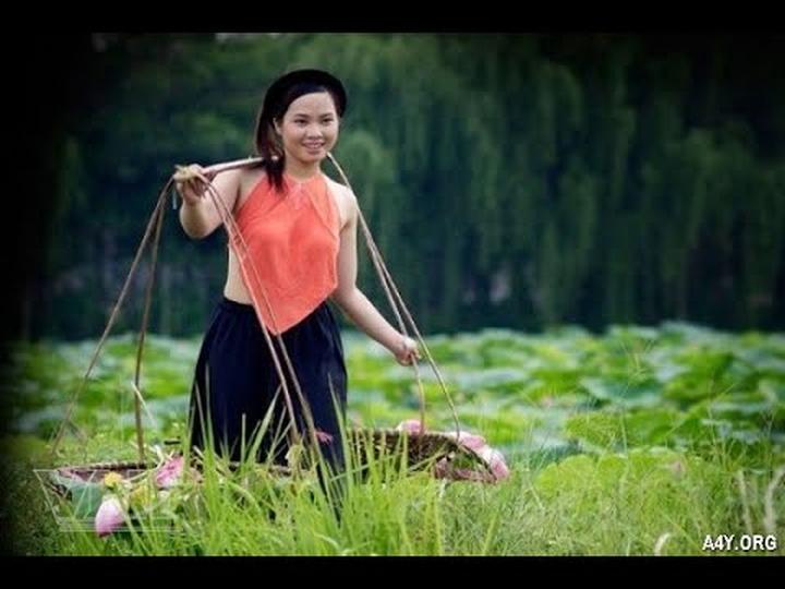 Xu hướng Giật mình ngã nhào khi gặp xe: Hotspot Matrix tiết lộ bí quyết video viral