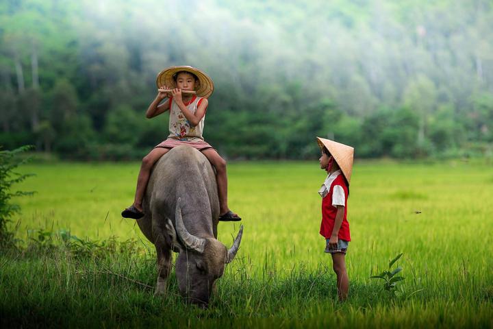 Loài cá kỳ lạ nhất châu Phi: - Cảm hứng video marketing từ Hotspot Matrix