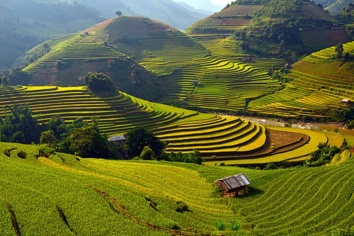 Xu hướng 3 kiểu giày