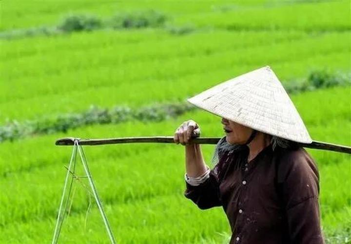 Nội dung: Trong mùa hè nóng bỏng, xu hướng