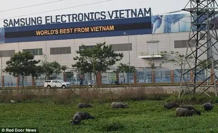 Phụ nữ tuổi này dễ có